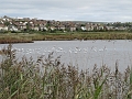 07 10 15_7839